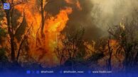 آتش سوزی پارک ملی لار