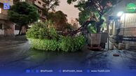وزش باد ۱۲۰ روزه و طوفان در شرق