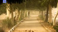 وزش باد شدید در بعد از ظهرهای تهران تا پایان هفته