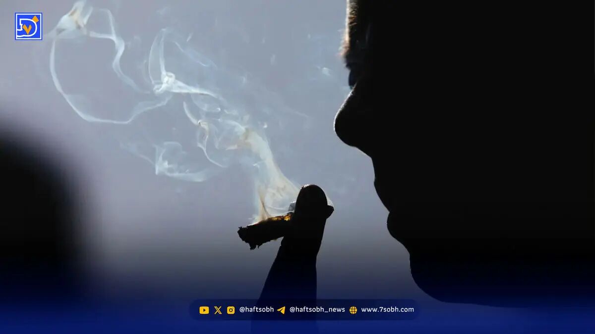 حشیش؛ از سرخوشی تا سقوط
