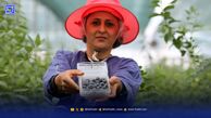 پنج میوه برای جلوگیری از ‌‌ابتلا به سرطان ‌
