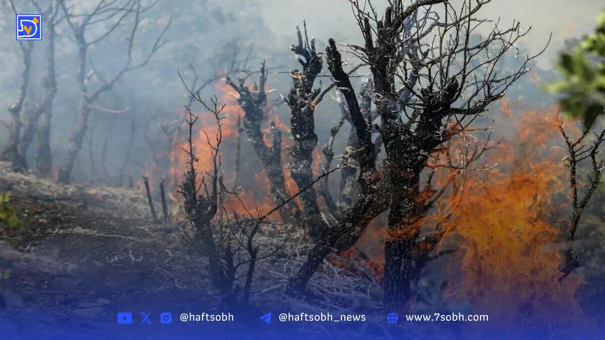 مهار آتش سوزی در دره گنج نامه همدان