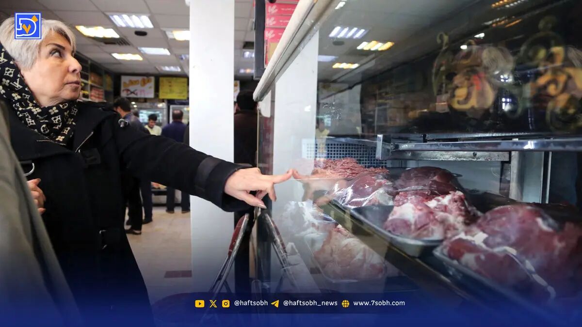 بازار گوشت قرمز؛ رقابت سود و سفره
