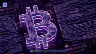 متاپلنت ژاپن دو شرکت جدید در میامی و توکیو برای توسعه درآمد از بیت کوین راه‌اندازی کرد