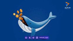 نهنگ ارز دیجیتال کیست و چگونه معامله می‌کند؟