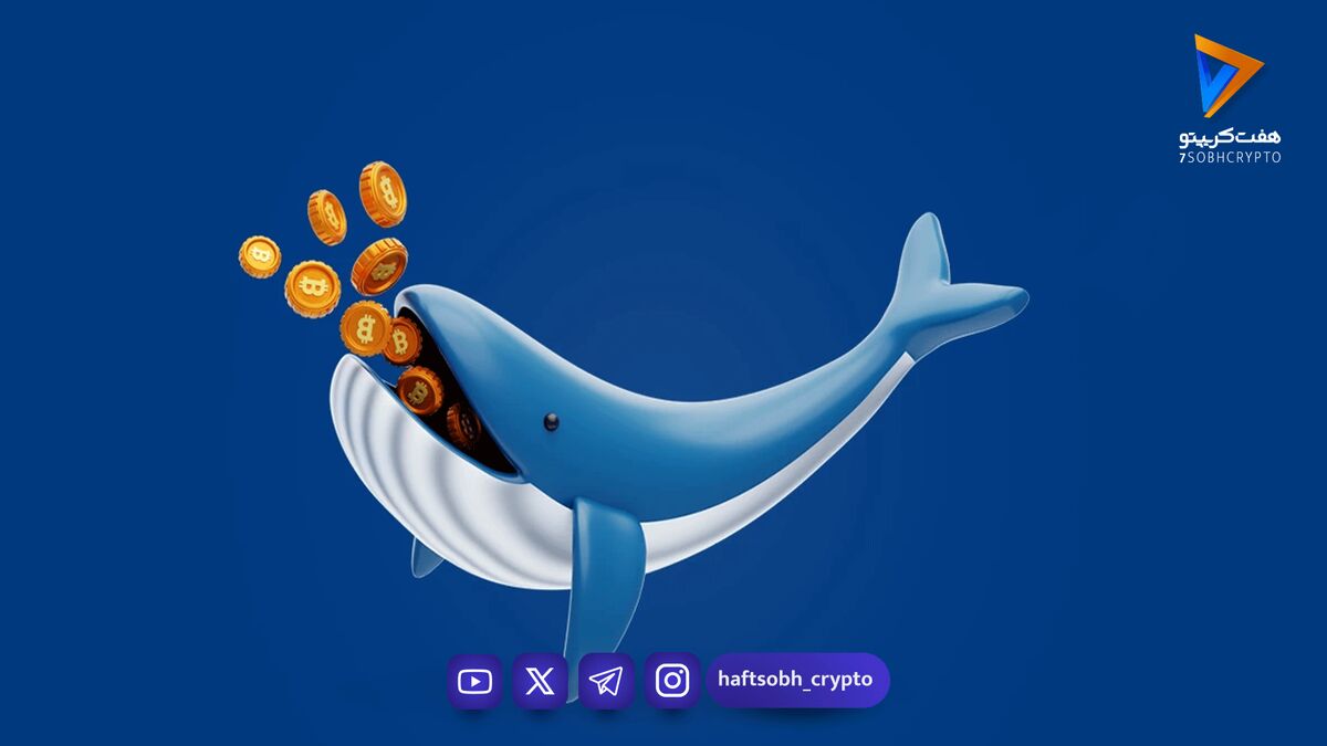 نهنگ ارز دیجیتال کیست و چگونه معامله می‌کند؟
