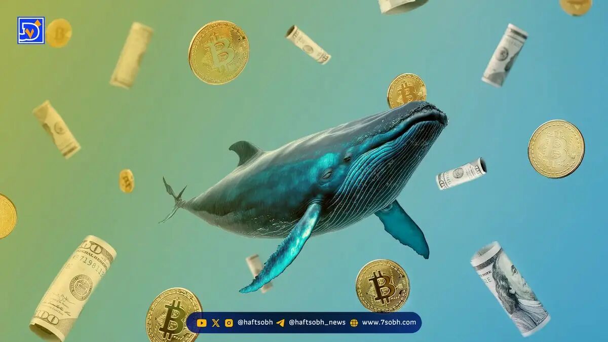 نهنگ اسرارآمیز هایپرلیکویید باز هم روی شورت بیت‌کوین شرط‌بندی کرد!