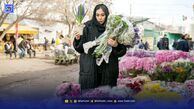 قیمت گل و گیاه