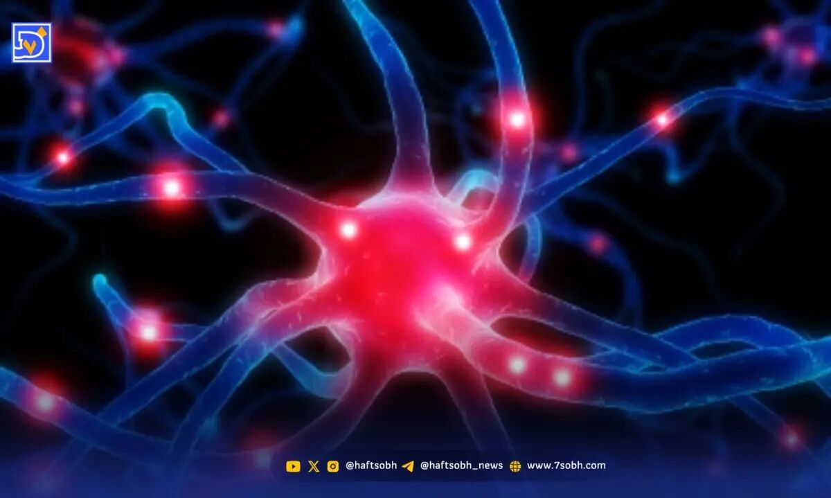 چگونه هورمون‌ها ذهن را کنترل می‌کنند