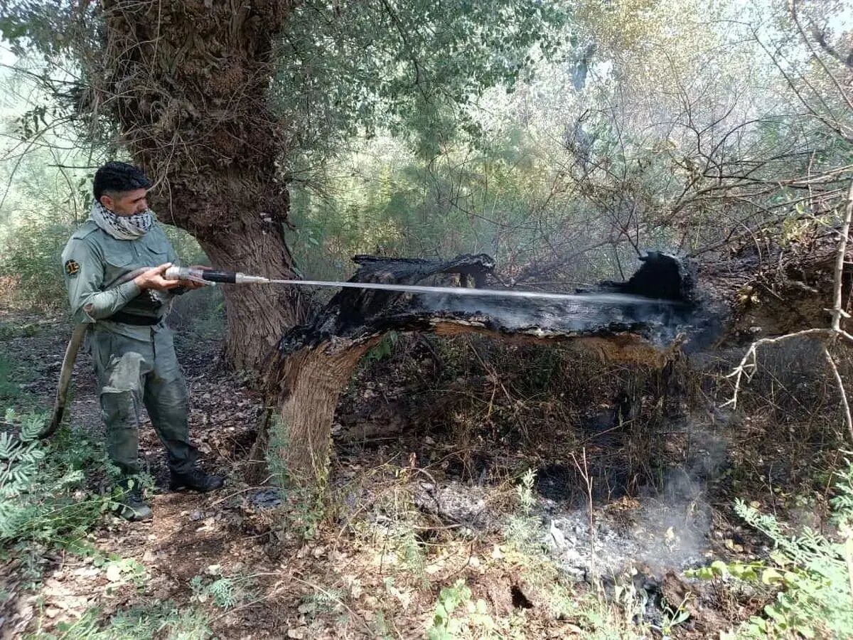 آتش‌سوزی ارتفاعات مانشت سیروان