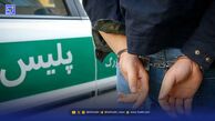نیوشا ضیغمی قربانی سرقت شد