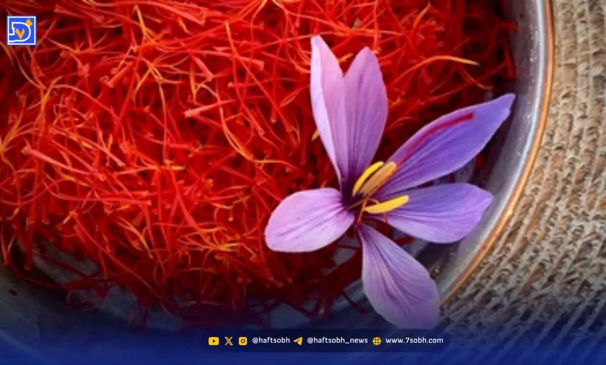 طلای زرد برای دردهای بدن معجزه می کند