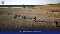 ۱۵ استان در کُما / تداوم بی‌بارشی