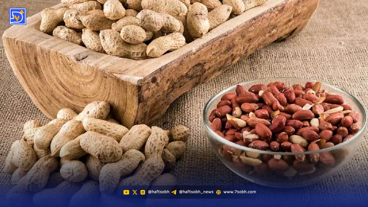 روایتی از قیمت، طعم و رازهای پنهان بادام زمینی