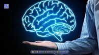 علائم پیری زودرس مغز
