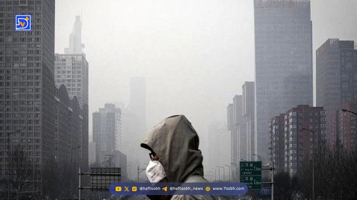 چطور از مسمومیت آلودگی هوا جان سالم به در ببریم؟