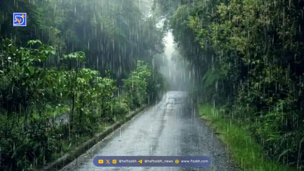 یک خبر خوب درباره بارندگی ها در کشور/همه بخوانند