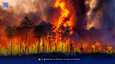 حکمرانی پیشگیرانه حریق در ایران