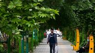 شاخص آلودگی هوای تهران امروز 11 آ‌ذر 1404 / هوا باز هم پاک نشد