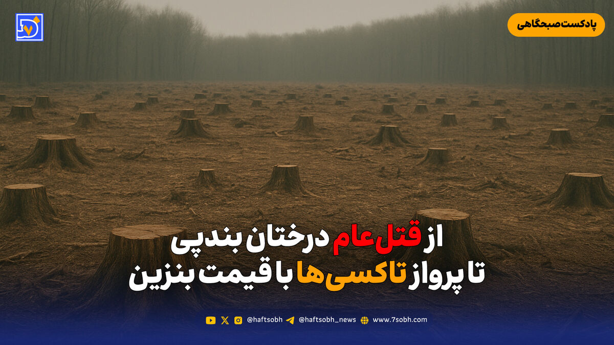 از قتل‌عام درختان بندپی تا پرواز تاکسی‌ها با قیمت بنزین