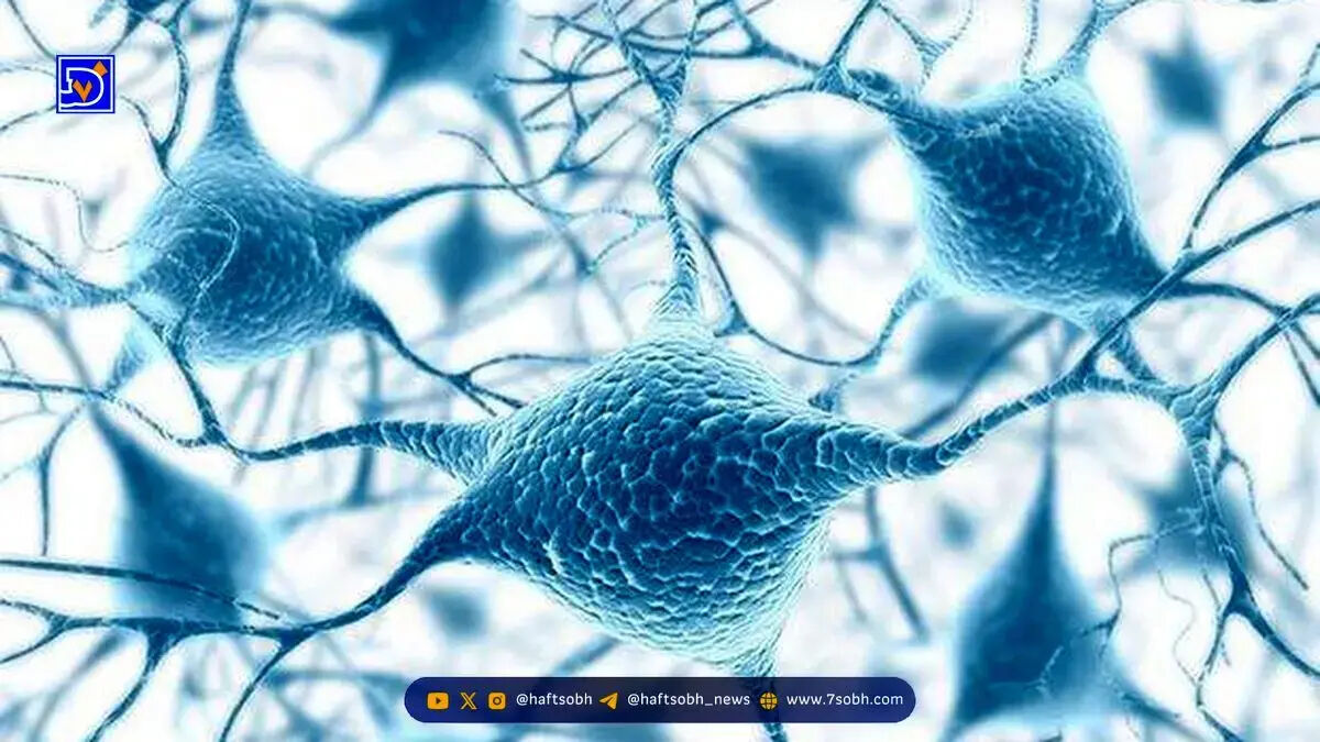 کشف یک منبع انرژی پنهان در سلول‌های انسان