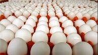قیمت باورنکردنی مرغ و تخم مرغ پس از حذف ارز ترجیحی