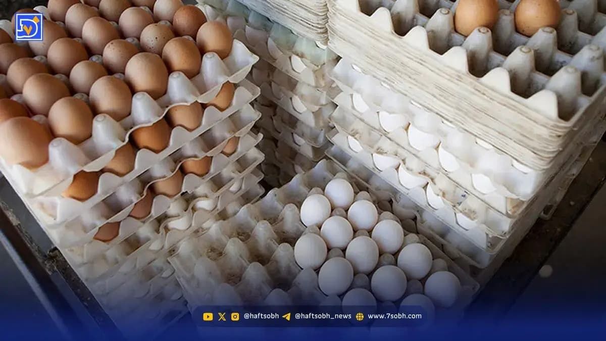 قیمت جدید تخم‌مرغ در بازار اعلام شد