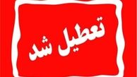 احتمال تعطیلی‌های گسترده تهران در هفته آینده یکشنبه 14 دی 1404