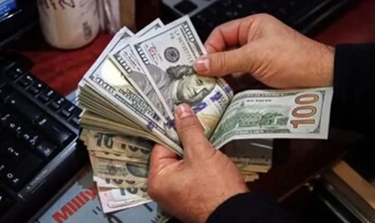 یک پیش بینی مهم درباره نرخ دلار در سال جاری؛ منتظر این اتفاق باشیم؟