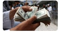 قیمت دلار امروز چهارشنبه ۲۴ دی ۱۴۰۴ / دلار در بی خبری