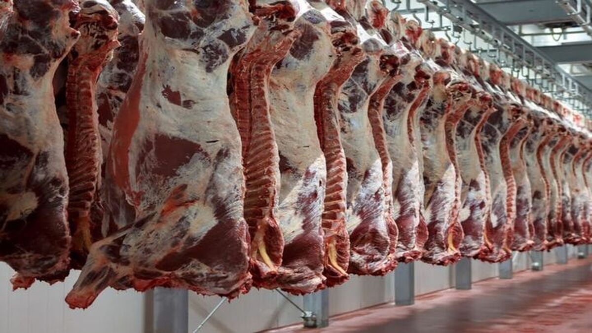 قیمت گوشت قرمز امروز دوشنبه 6 بهمن 1404 + جدول