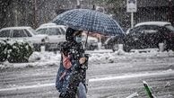 هشدار فوری هواشناسی به تهرانی ها/ برف و باران تا ساعتی دیگر میهمان پایتخت‌نشینان