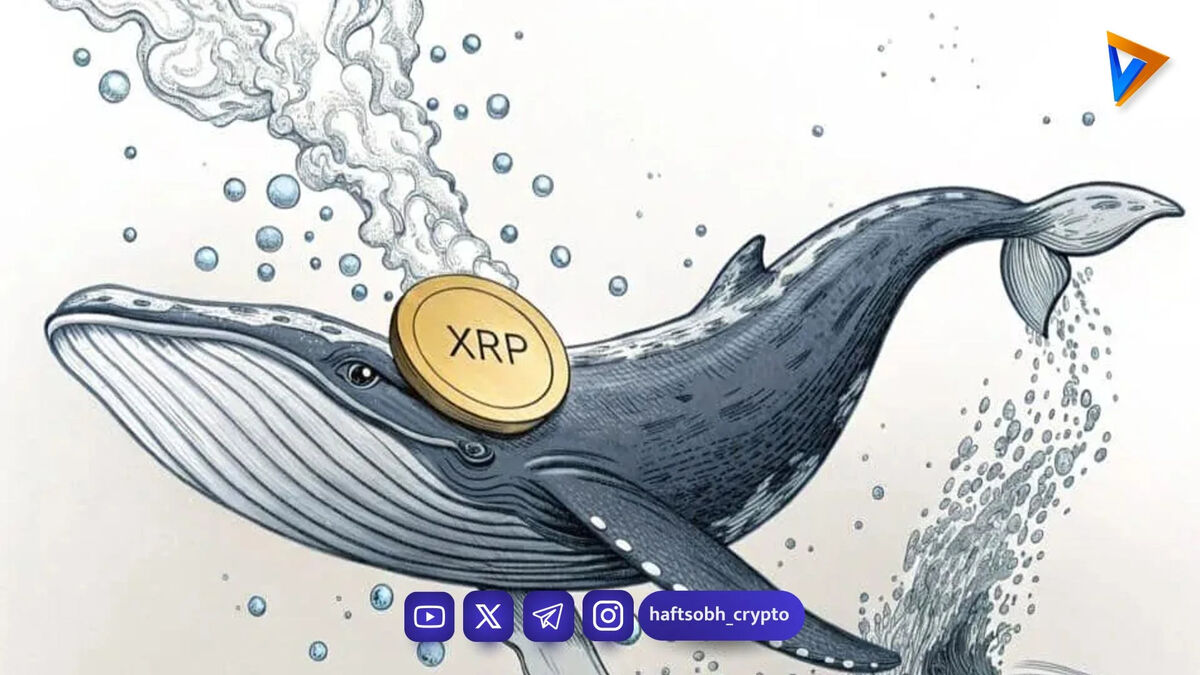 نهنگ‌های ریپل با خرید سنگین بازار را تکان دادند؛ آیا جهش بزرگ XRP در راه است؟