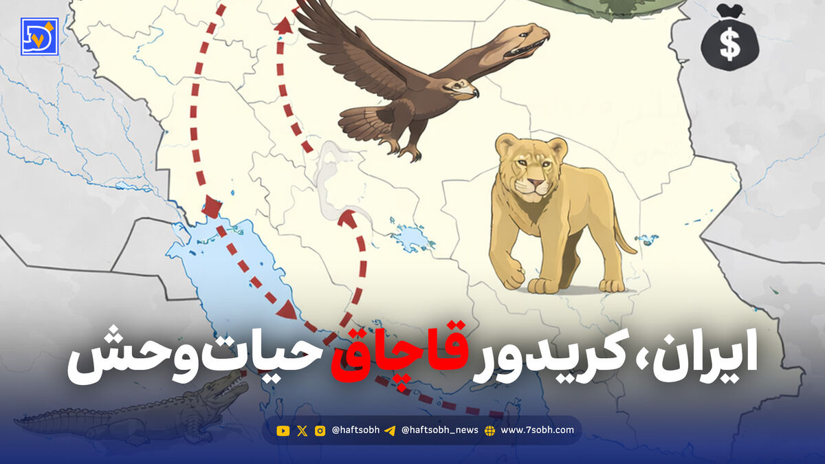 ایران، کریدور قاچاق حیات‌وحش