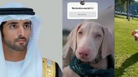 عکس| نامگذاری سگ جدید ولیعهد دُبی با نظر سنجی از 17 میلیون دنبال کننده اینستاگرام