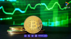 طوفان سبز در بازار رمزارزها؛ بازگشت باشکوه غول‌ها
