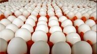تخم مرغ ۵۰۰ هزار تومانی! قیمت نهاده های دامی دائما در حال افزایش است
