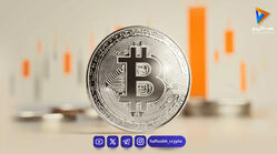 اسپیس‌ایکس در جمع بزرگ‌ترین دارندگان شرکتی بیت‌کوین