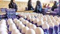 آخرین قیمت مرغ و تخم‌مرغ/ هر کیلو چند؟!