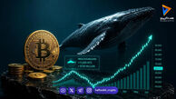 خرید ۷۰۰ میلیون دلاری نهنگ‌ها؛ بیت کوین در آستانه جهش قیمتی جدید است؟