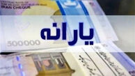 دهک‌های یک تا ۳ می‌توانند ۲ برابر یارانه‌شان خرید کنند و اقساطی بپردازند