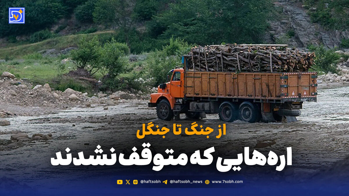 از جنگ تا جنگل؛ اره‌ و تن زخمی محیط زیست