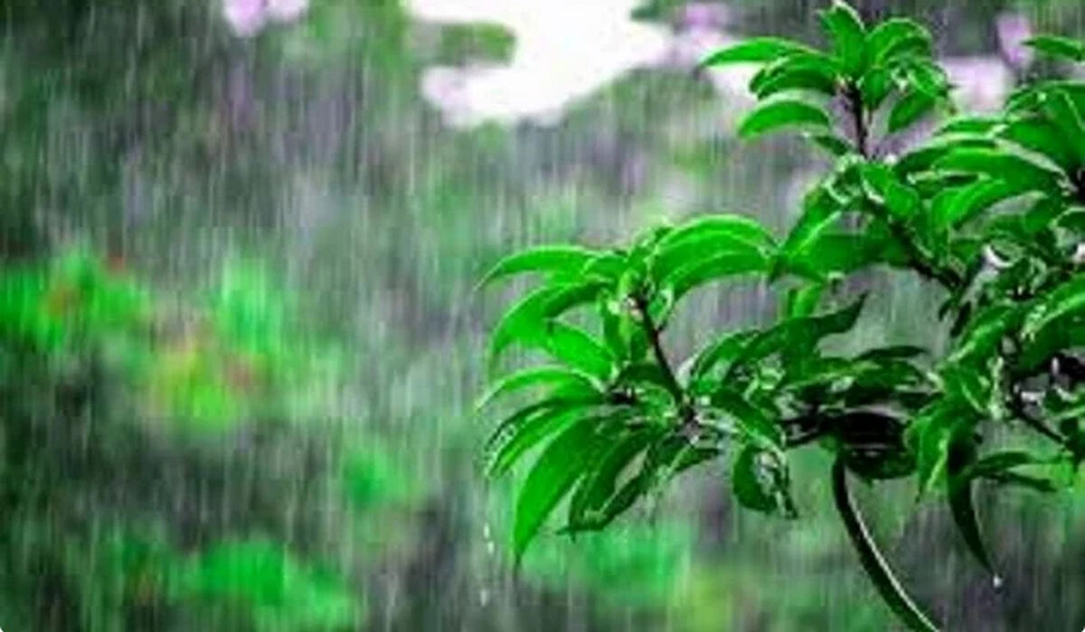 بارش باران تا چهارشنبه در نقاط مختلف کشور
