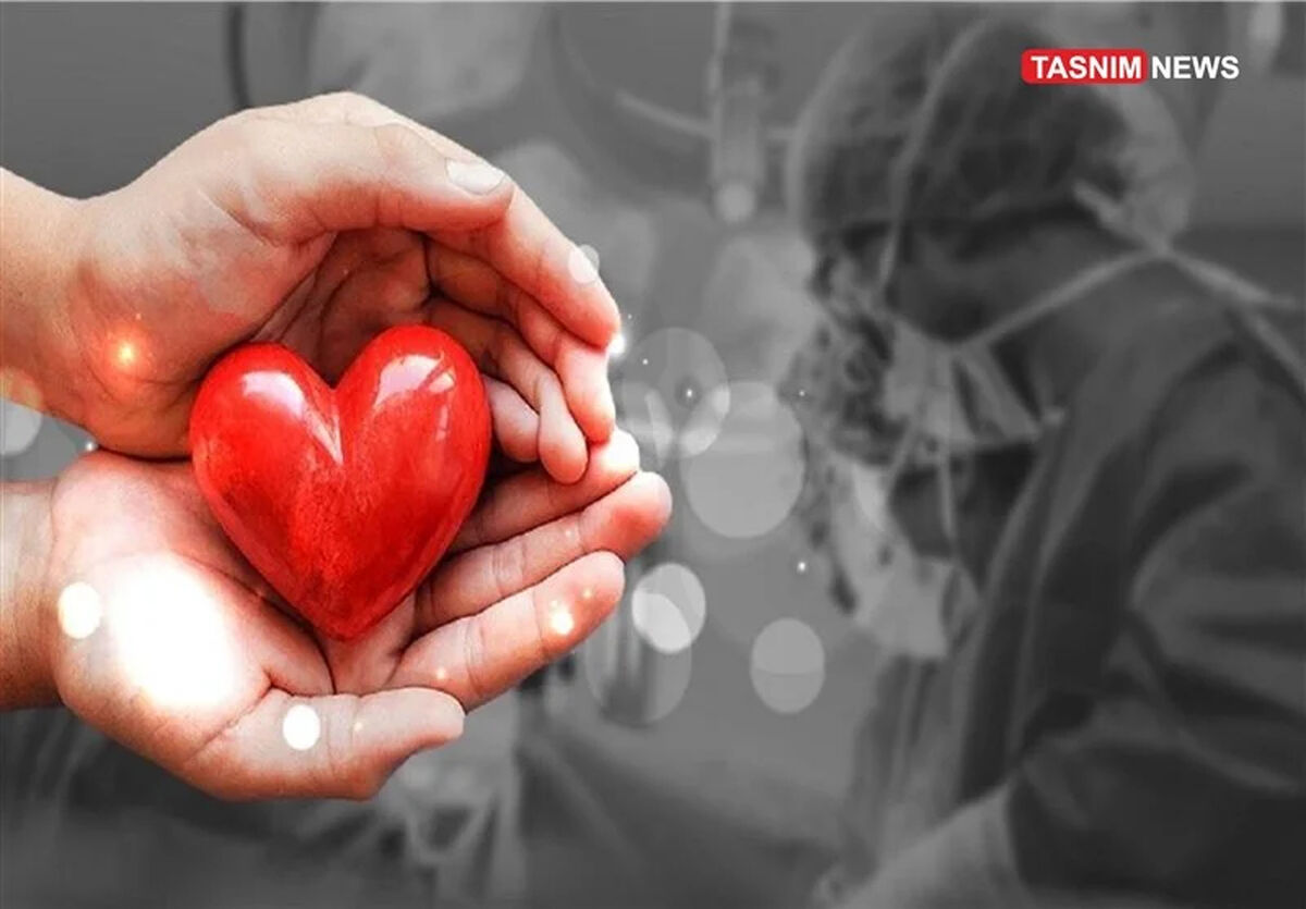انجام 85 هزار پیوند عضو در کشور/ ثبت نشان اهدای عضو در کارت پرستاران