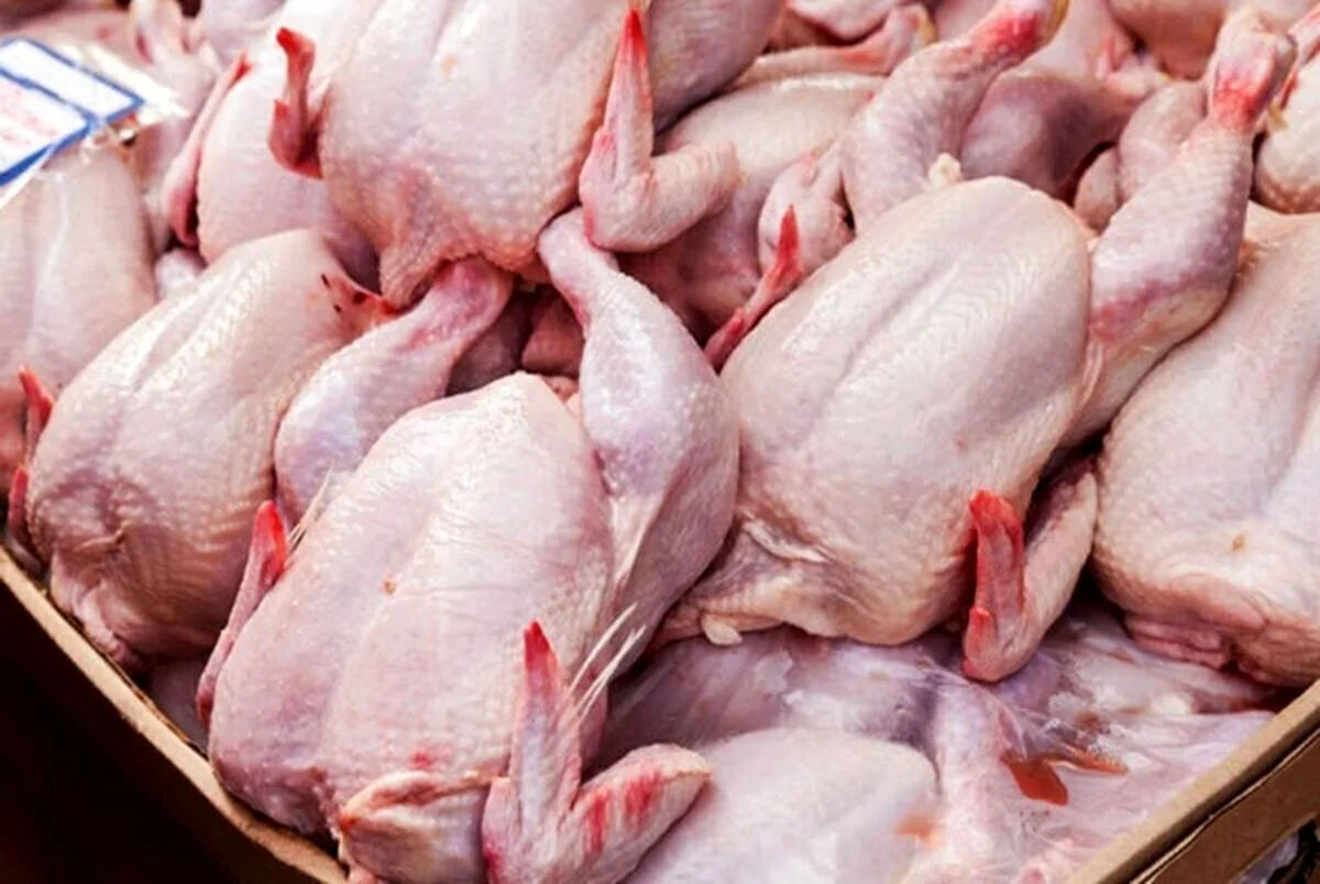 قیمت گوشت مرغ در بازار امروز چهارشنبه 30 اردیبهشت 1405 / مرغ گران تر شد