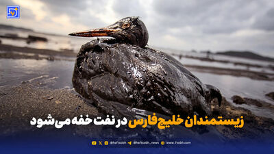 موج‌های خلیج فارس بوی نفت می‌دهند