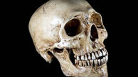 اگر انسان‌ها باهوش‌تر شده‌اند، چرا مغز ما درحال کوچک‌تر شدن است؟