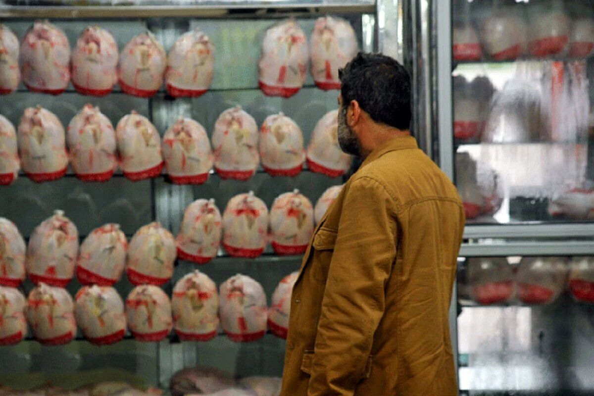 آخرین قیمت مرغ و تخم مرغ در بازار امروز 5 خرداد 1405 / مرغ خیلی گران شد
