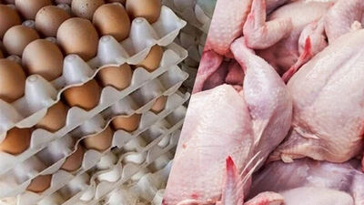 قیمت کالاهای اساسی خانوار امروز 15 مرداد: مرغ، تخم مرغ و گوشت