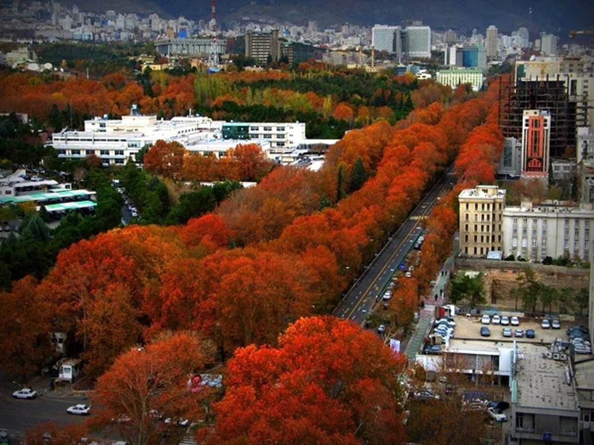 عکس| سفر به تهران قدیم؛ نمایی از «خیابان ولیعصر، وقتی هنوز سنگفرش نبود»؛ سال 1312